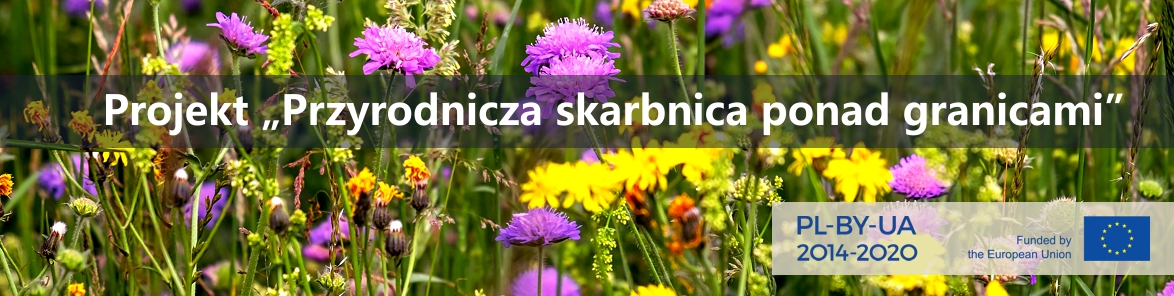 tlo przyrodnicza skarbnica