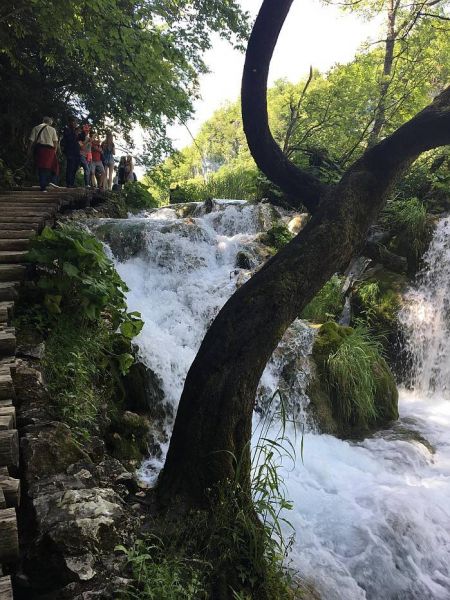 34470535_2026240357704674_6404374551387439104_n