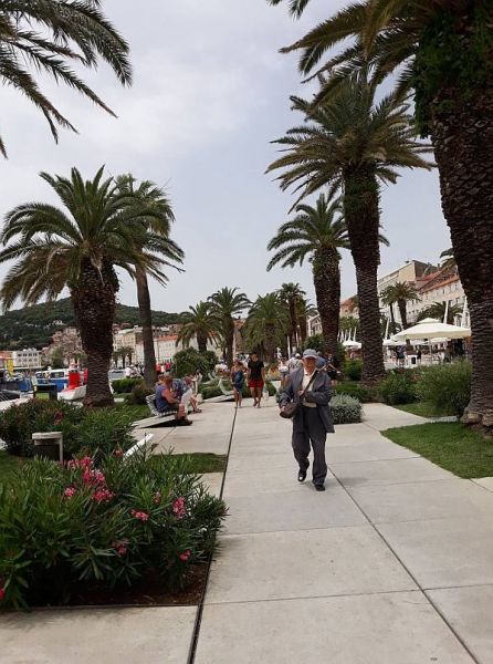 34788856_1769622666457944_6433190839891001344_n