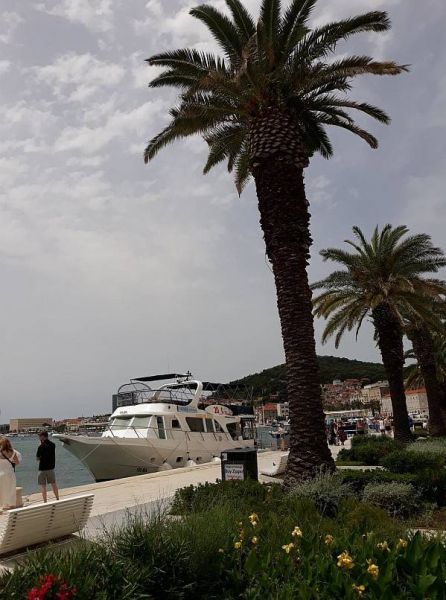 34984371_1769622369791307_4532441608368422912_n