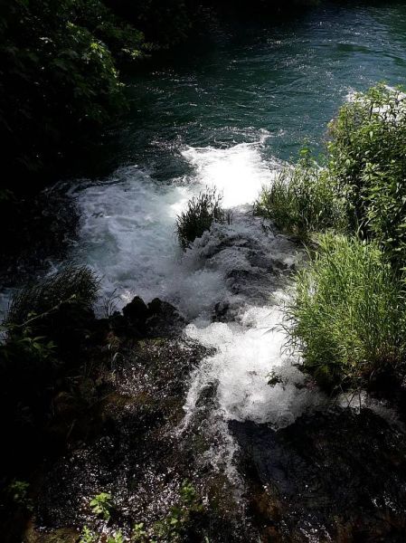 34858354_2073091869626858_8459825683118424064_n