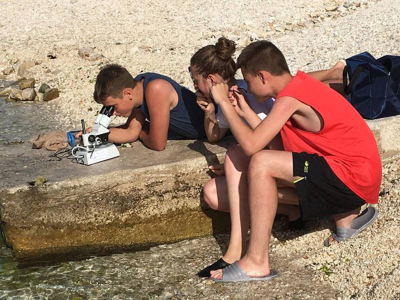 34864499_2028329300829113_1554943732141260800_n