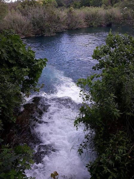 34889030_2073091936293518_1139456326867353600_n