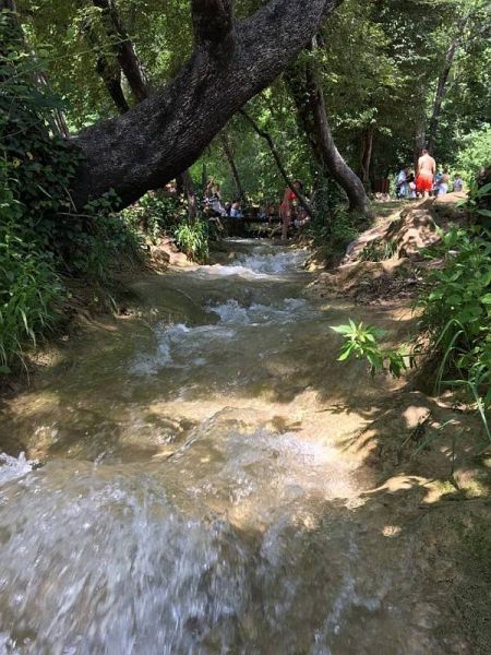 35026728_2028924387436271_1890158688279199744_n