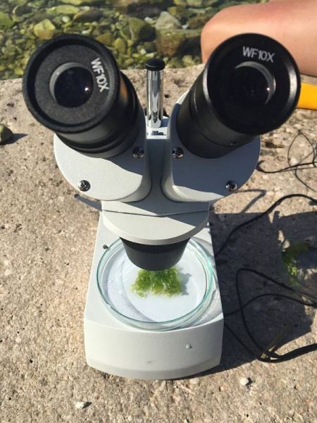 35114570_2028329547495755_5977037614811709440_n