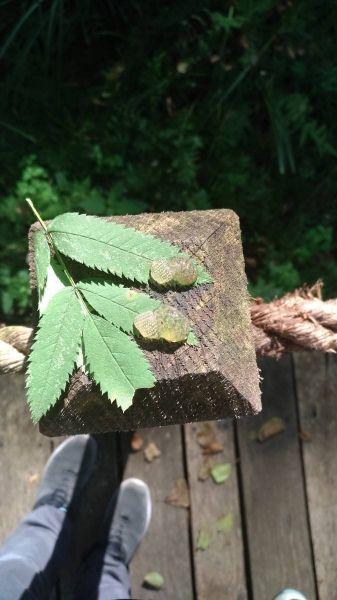 P_20180910_124338_vHDR_On