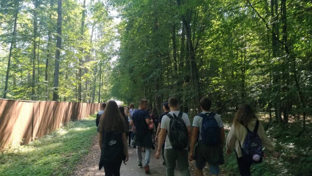 P_20180910_130813_vHDR_On