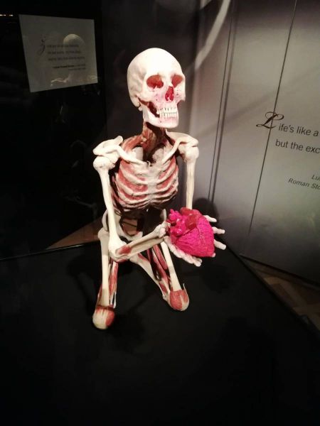 51121442_1238296316326972_8549443092032258048_n