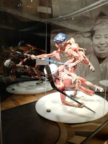 51127037_233458520941525_5542849410829910016_n