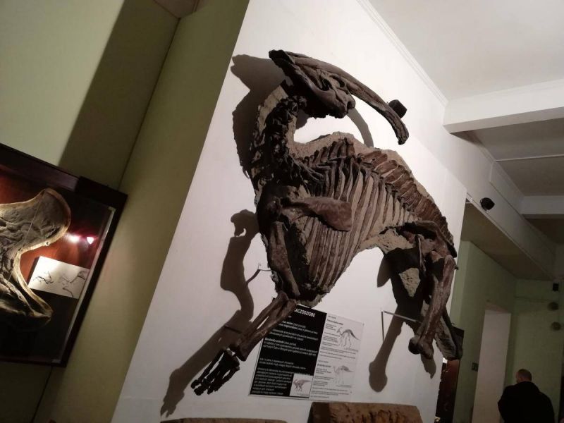 51136450_811468052530068_2545160249099157504_n