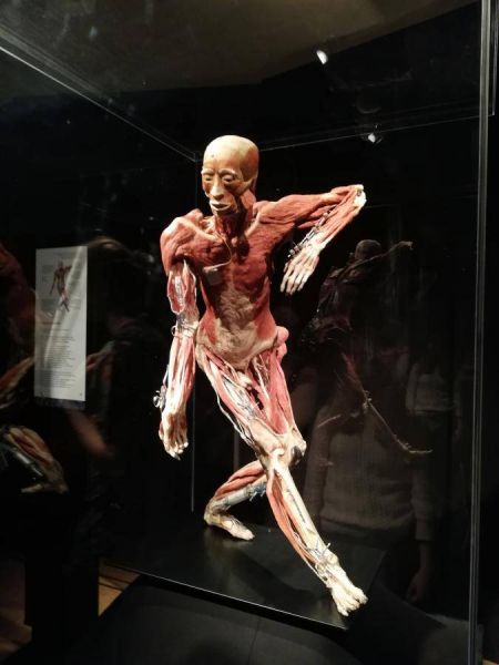 51223829_349310435796757_8410436810504667136_n(1)