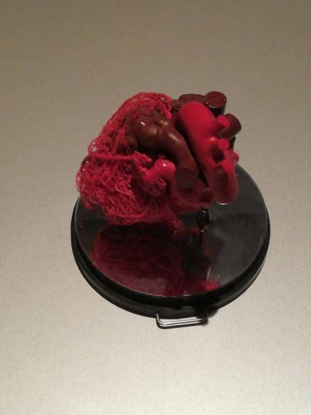 51223887_2089672684460286_8487876763068661760_n