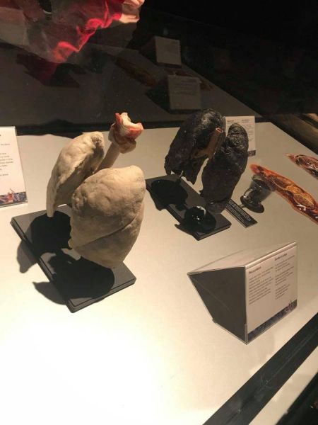 51281590_372361983597136_4776071162922795008_n