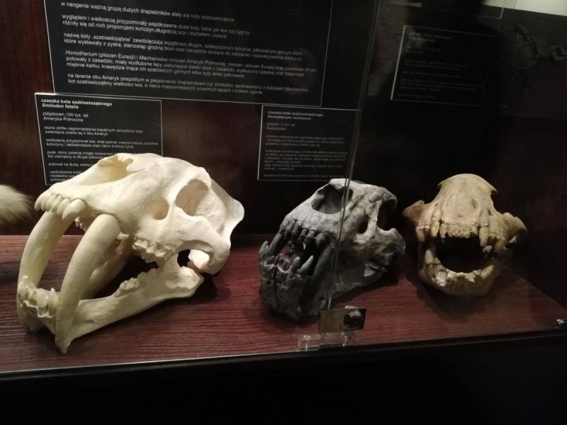 51304420_1096725967174781_2738849912505499648_n