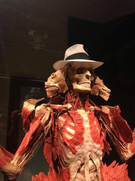 51344448_1213050142180672_7816023107788865536_n