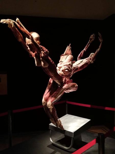 51398391_311873009672038_1480527037121691648_n