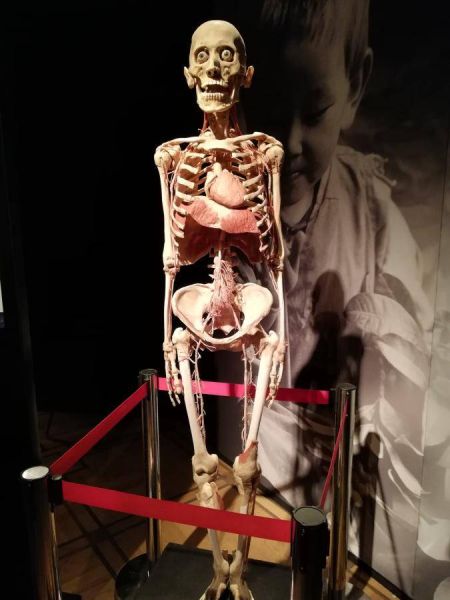 51486405_562457157603409_4179426941956259840_n