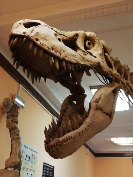 51536750_1087102608128756_2688709742737489920_n