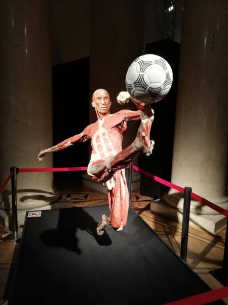 51670531_388522621711925_7047132101044338688_n