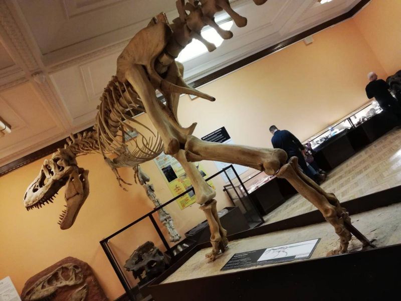 51807960_2025409507578036_1514629781826568192_n