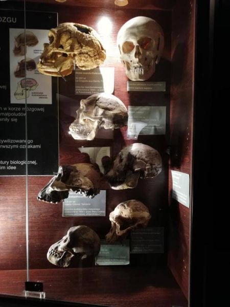 51983564_2058641327587762_8202835404429197312_n