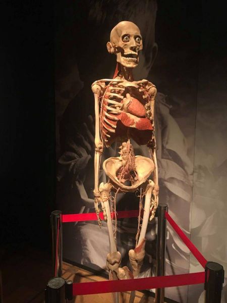 52123824_143445663273454_8500271317130412032_n