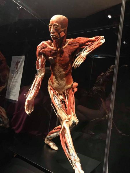 received_2039080186209849