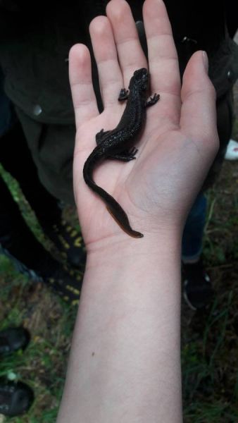 20190515_125554_resized