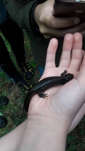 20190515_125605_resized