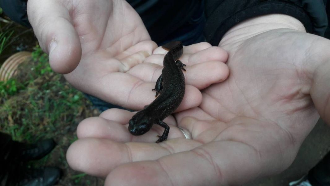 20190515_125807_resized