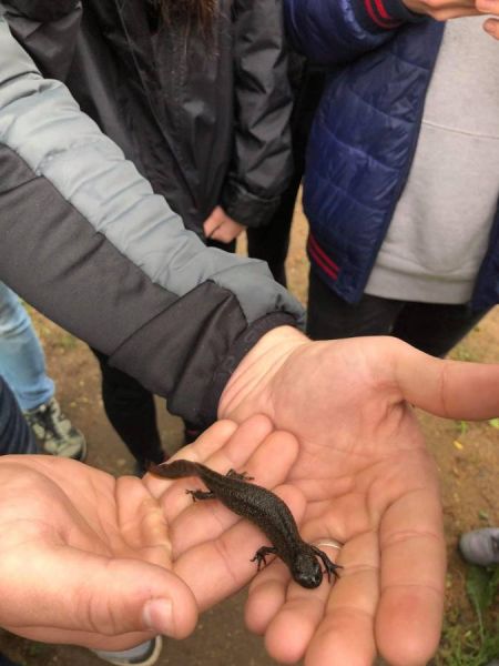 received_2183183578404269