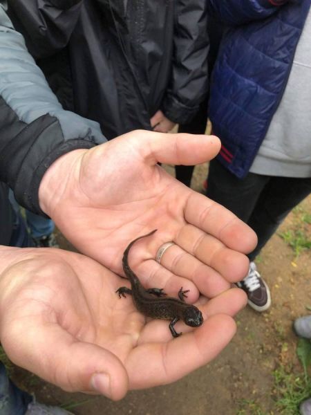 received_302175784062352