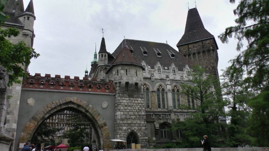 61232449_1301553870004567_4009851810519973888_o