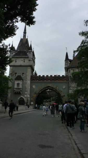 61273792_1301553620004592_2680550735099199488_n