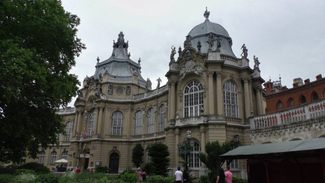 61295113_1301553946671226_542571557667471360_o