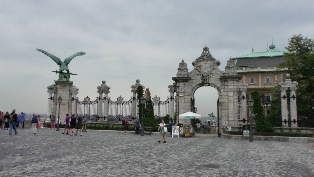 61303825_1301554380004516_6582794695523434496_o