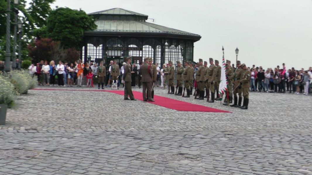 61438897_1301554506671170_8303928111259451392_o