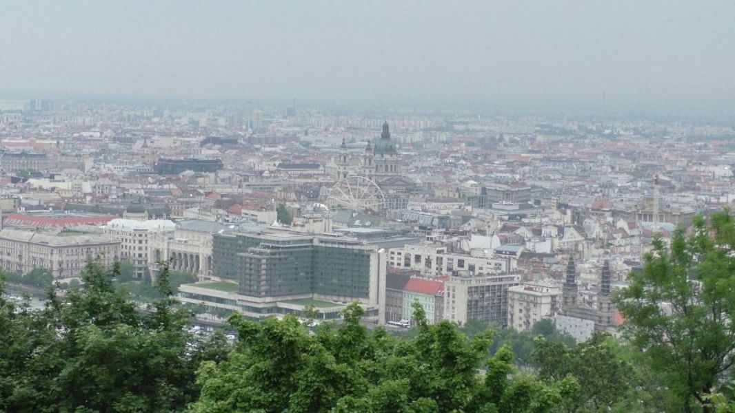 61446008_1301554200004534_2506528315351760896_o