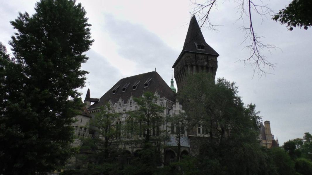 61457804_1301553826671238_8487550023431618560_o