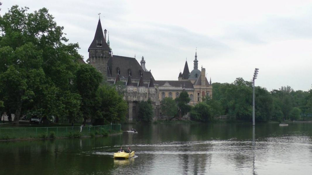 61473699_1301553790004575_8350096140653297664_o