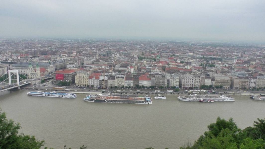 61610701_1301554256671195_504916278008348672_o