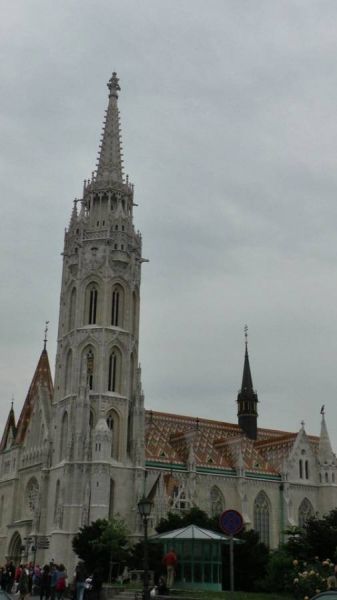 61640933_1301554546671166_845090680127619072_n