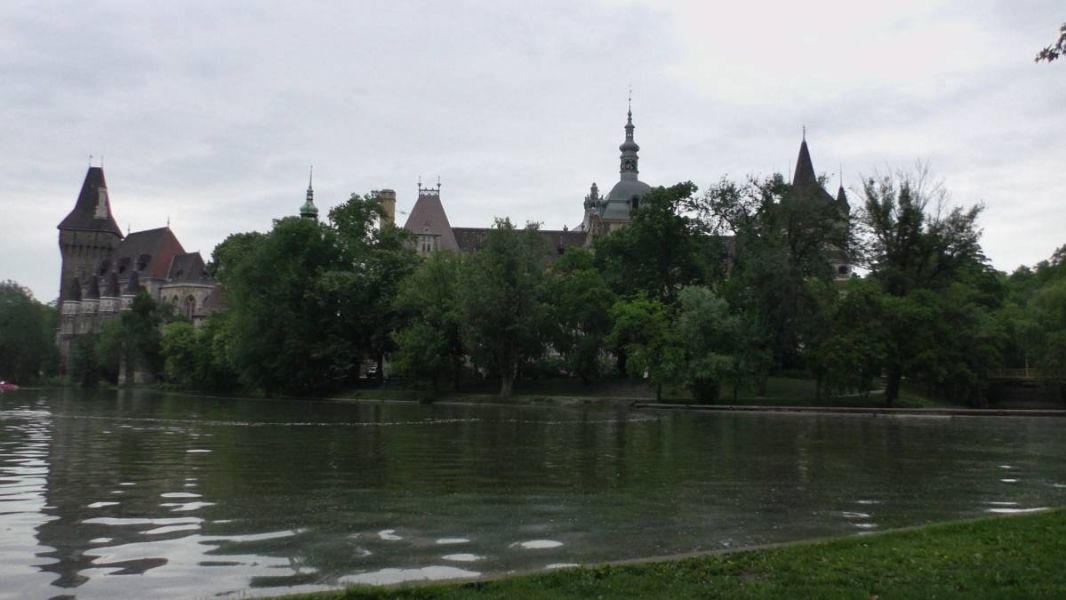 61820557_1301554026671218_3185935327751569408_o