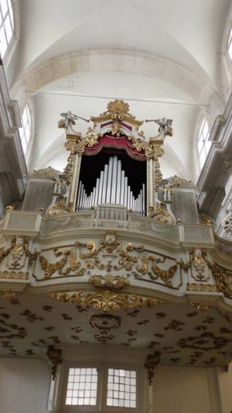 61368055_1301556146671006_6012068175531737088_n