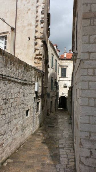 61564273_1301556070004347_7475566680937070592_n