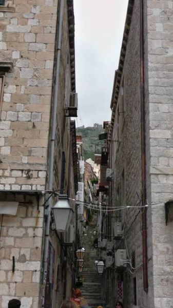 61621987_1301555680004386_2278162155444371456_n