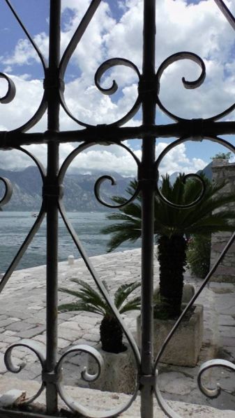 61785677_1302908659869088_9111194414570536960_n