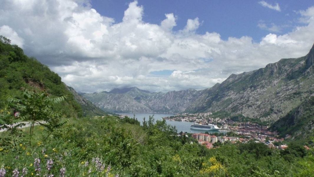 61928824_1302908466535774_6790654890558357504_o