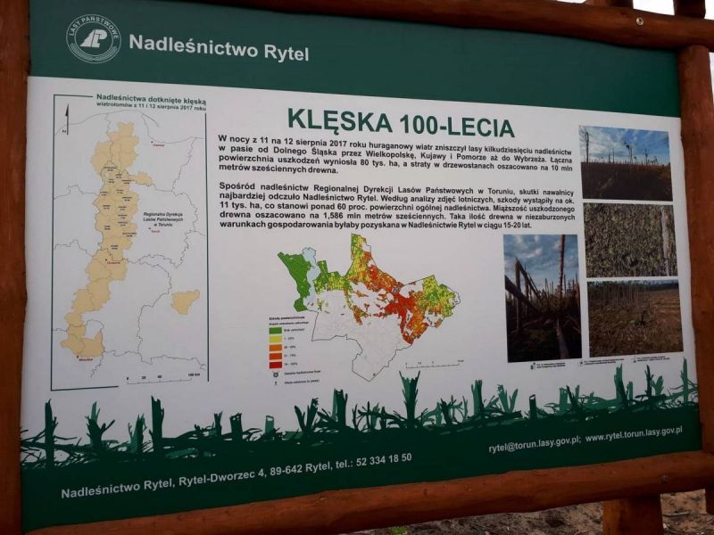 62505090_2198669470186190_6824295702940614656_o