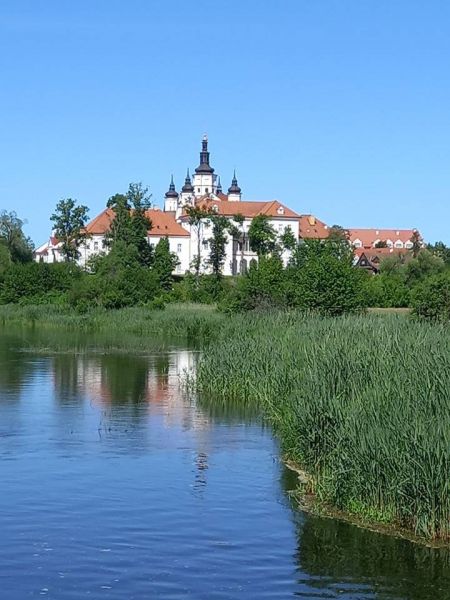 201205346_779296599421004_5491420972382162702_n